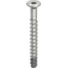 Vis d'ancrage MULTI-MONTI-plus F 7.5x55/5/20 A4 (Par 25)