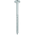 HECO-TOPIX-plus Telko TD 6.0 x 100 TG znbl T25