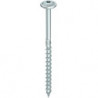 HECO-TOPIX-plus Telko TD 6.0 x 300 TG znbl T25