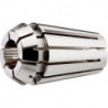 Pince de précision DIN6499B 428E GERC20 11.0mm FAHRION