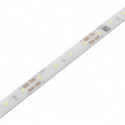 Lumière LED Versa Plus 80 12VDC cw L5m 4.8W/m LTG 2x1.8m M1