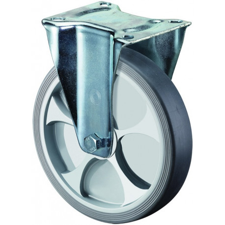 Roulette fixe D.250mm Capacité de charge 300kg thermopl 