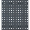 Panneau perforé l450xL500mm gris anthracite. RAL 7016 RASTERPLAN 