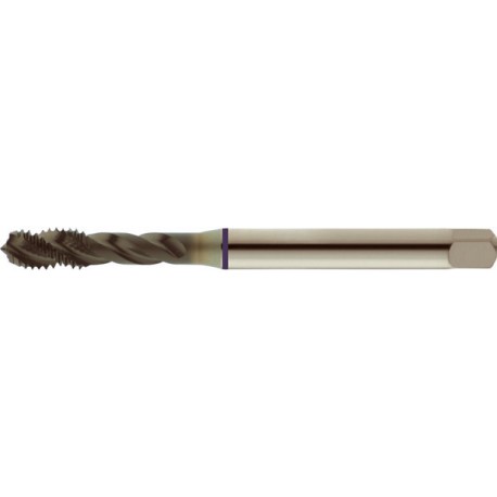 Taraud machine pour trous borgnes, surface traitée à la vapeur, DIN 371 C, Filetage M10, Pas 1,5 mm, Long. totale : 100 mm, queue Ø 10,0 mm