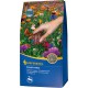 Graine fleur 1 kg