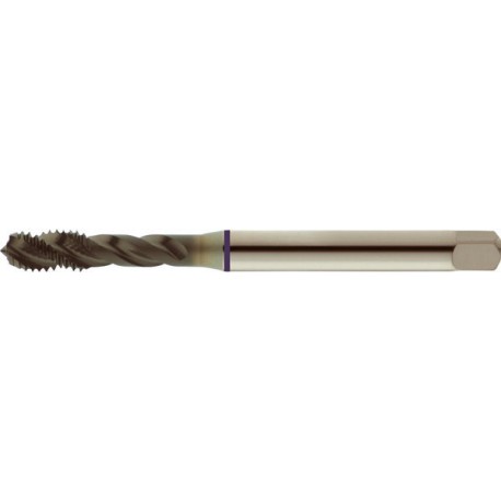 Taraud machine pour trous borgnes, surface traitée à la vapeur, DIN 371 C, Filetage M5, Pas 0,8 mm, Long. totale : 70 mm, queue Ø 6,0 mm
